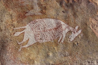 Rotes und weißes Wallaby von Unbekannt Unbekannt